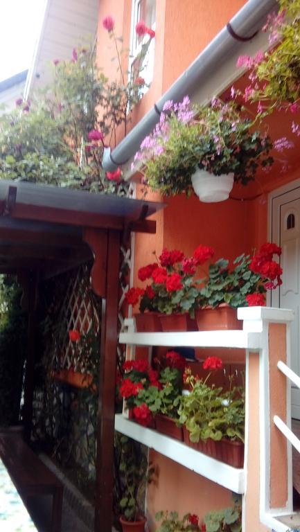 Pensiunea Irina Tilişca Εξωτερικό φωτογραφία
